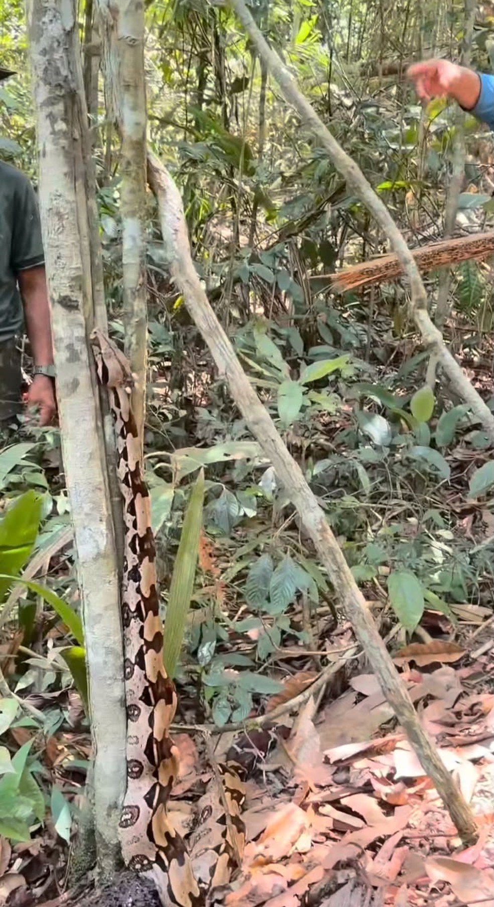 Filipe Ret faz tour pela Amazônia com a noiva: 'Gosto de ar condicionado'