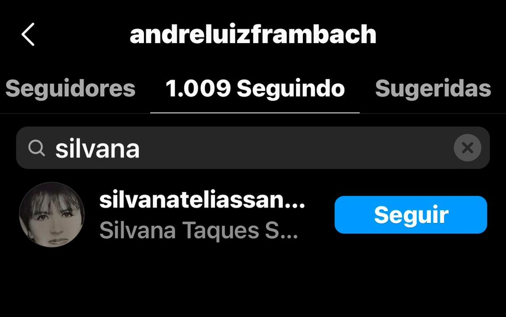 André Luiz Frambach, noivo de Larissa Manoela, segue a sogra, Silvana Santos, no Instagram — Foto: Reprodução/Instagram