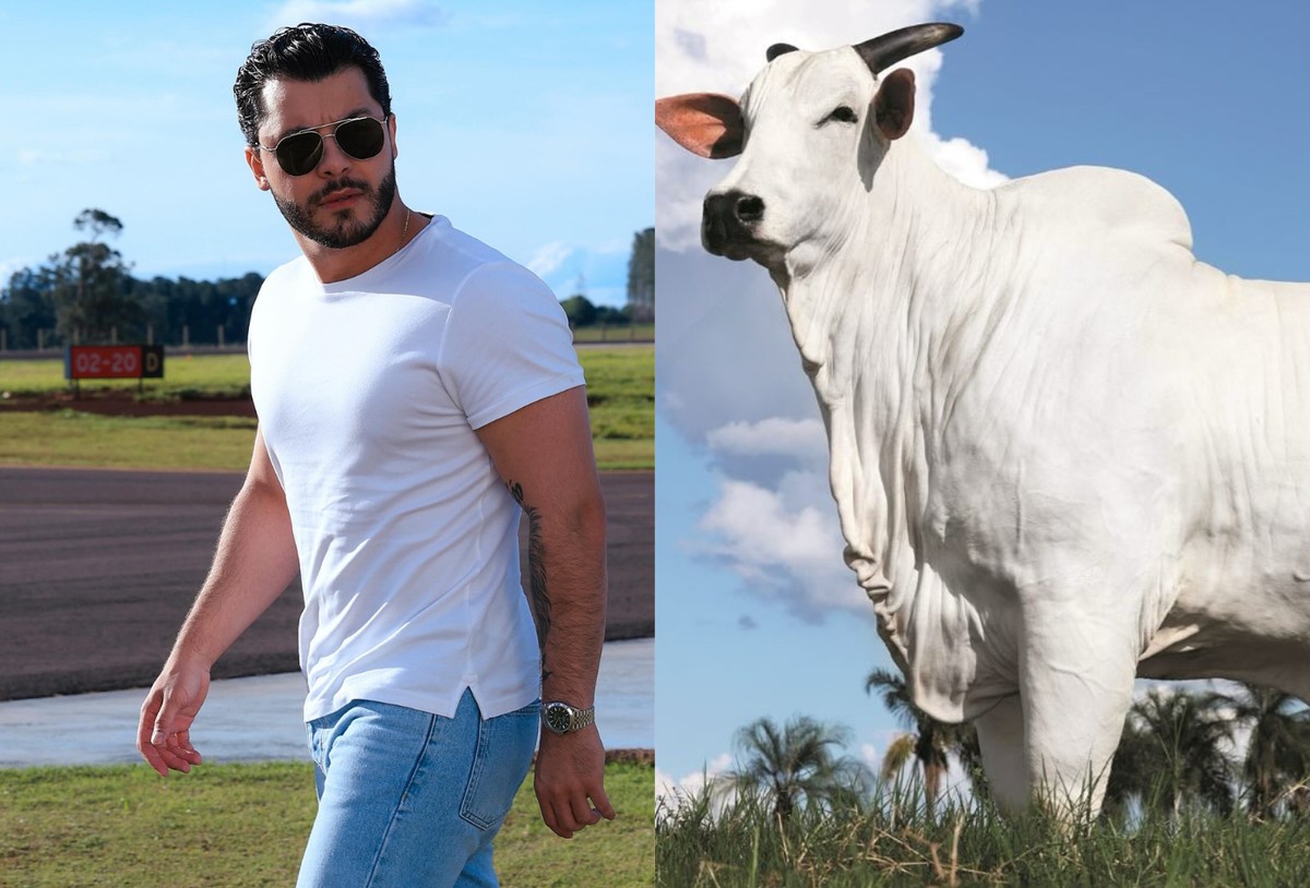 Murilo Huff fala sobre aquisição de vaca de R$ 54 milhões: 'É a mais ...