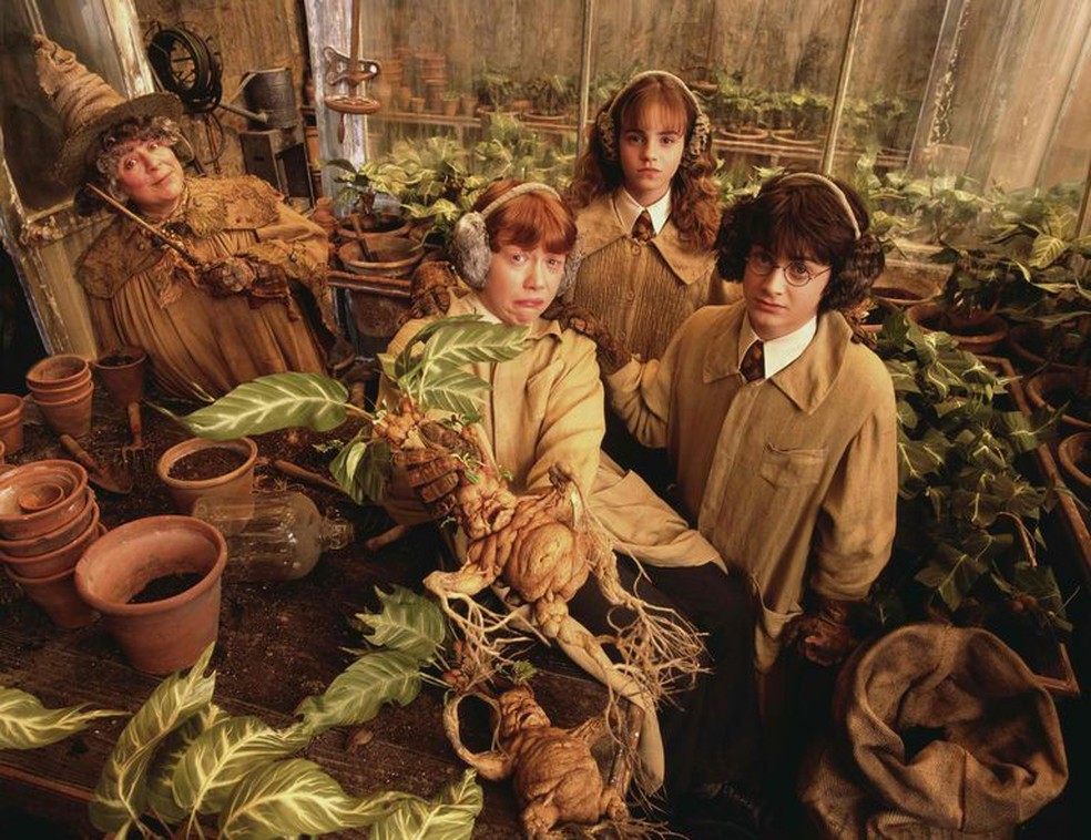 Miriam Margolyes como professora Sprout em 'Harry Potter' — Foto: Warner Bros.
