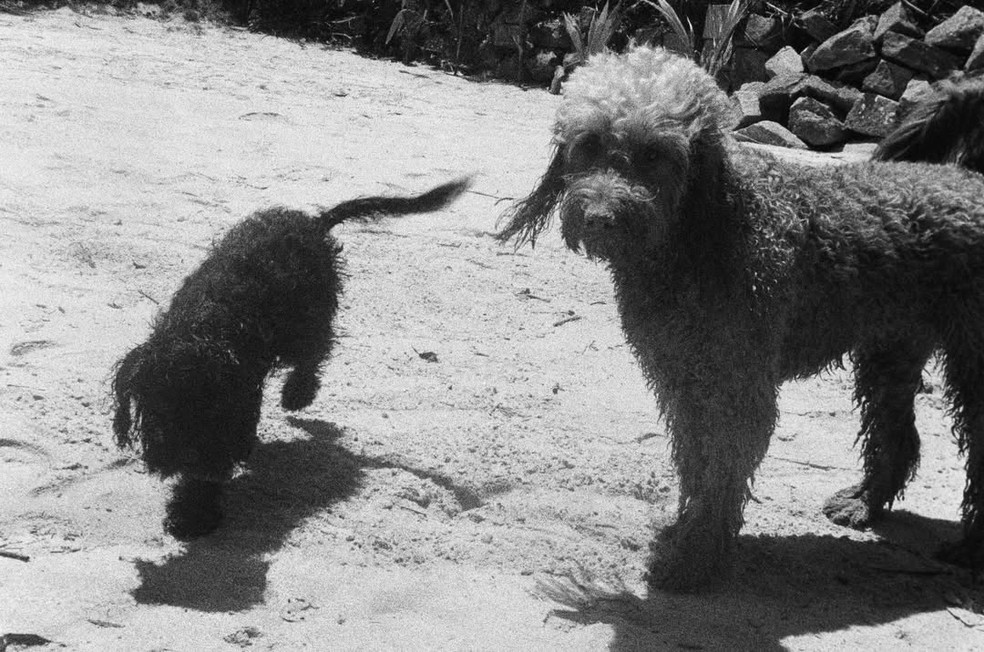 Sasha compartilha fotos de dia de sol — Foto: Reprodução/Instagram