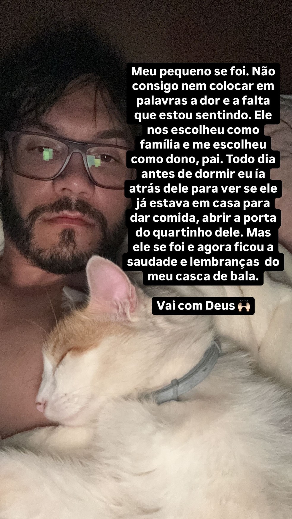 Eliezer lamenta morte de gato — Foto: Reprodução/Instagram
