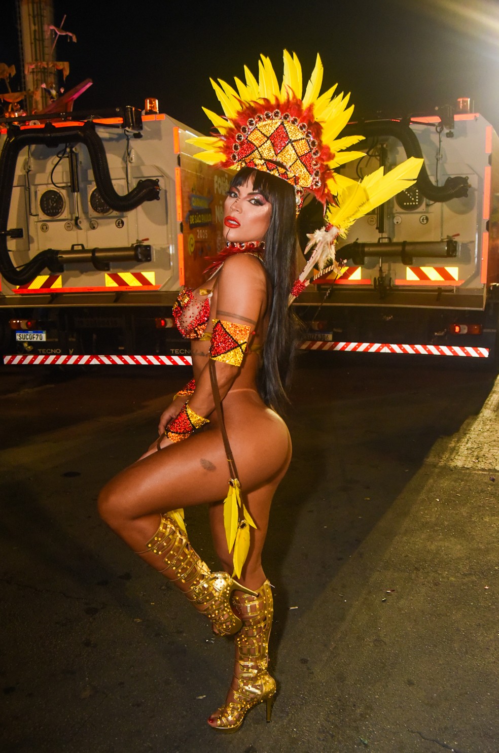 Rosana Ferreira no desfile da Acadêmicos do Tucuruvi — Foto: Edu Araujo/Agnews