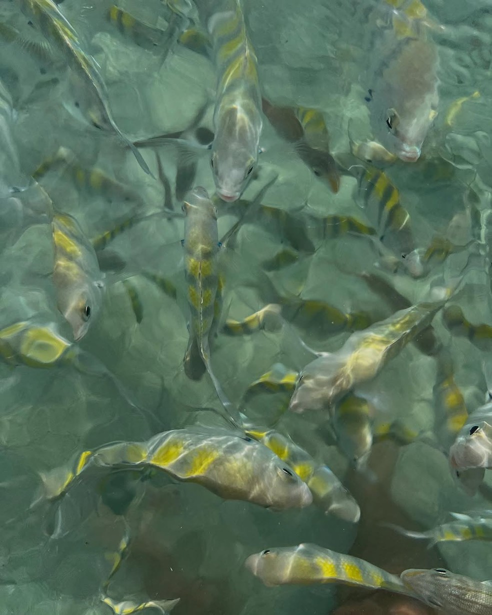 Dani Calabresa posta foto de viagem &mdash; Foto: Reprodu&ccedil;&atilde;o/Instagram