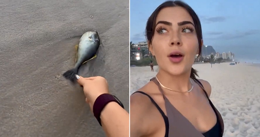 Jade Picon tenta salvar peixe em praia