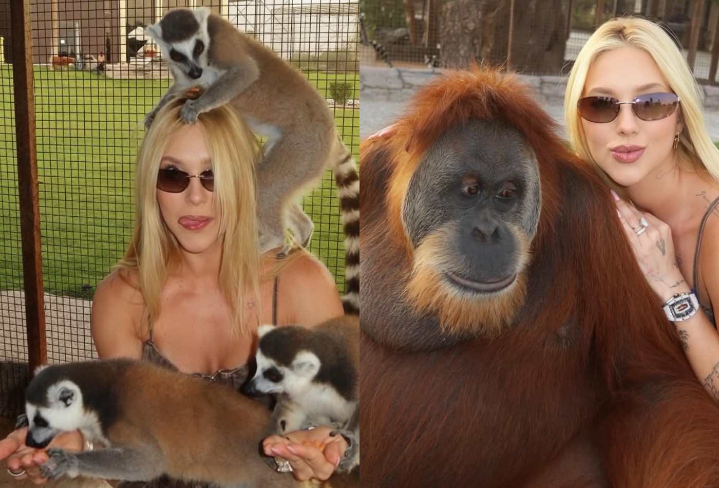Virginia Fonseca encanta fãs ao posar com animais exóticos em Dubai