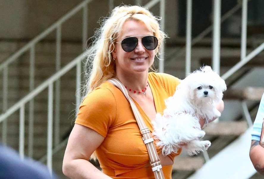 Britney Spears Emerges in Public Following Controversial Biography Release