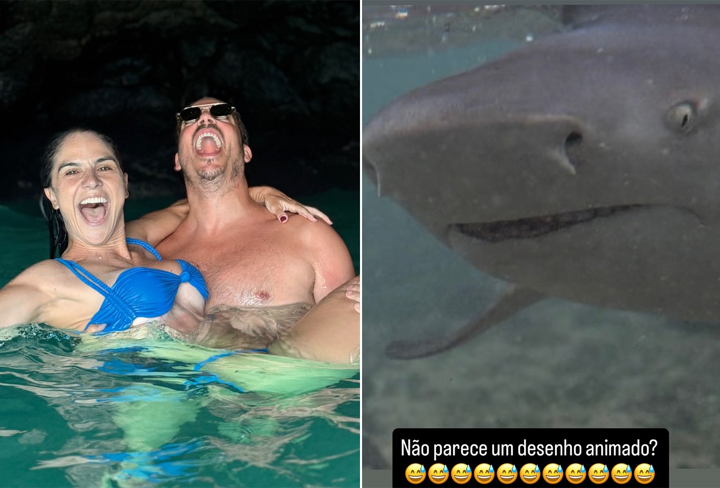 Fabio Porchat e noiva nadam com tubarões: 'Não parece um desenho animado?'; vídeos