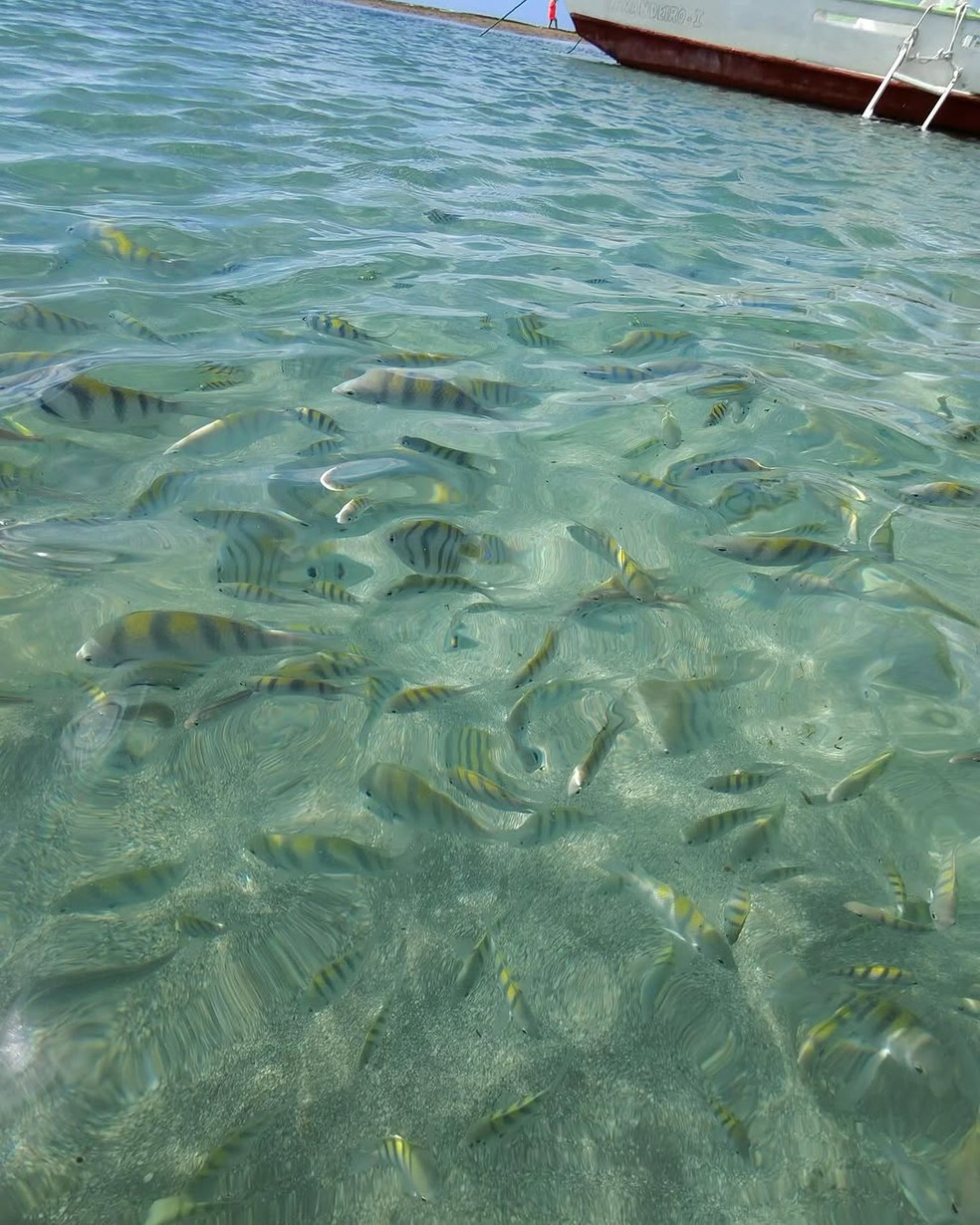 Dani Calabresa posta foto de viagem &mdash; Foto: Reprodu&ccedil;&atilde;o/Instagram
