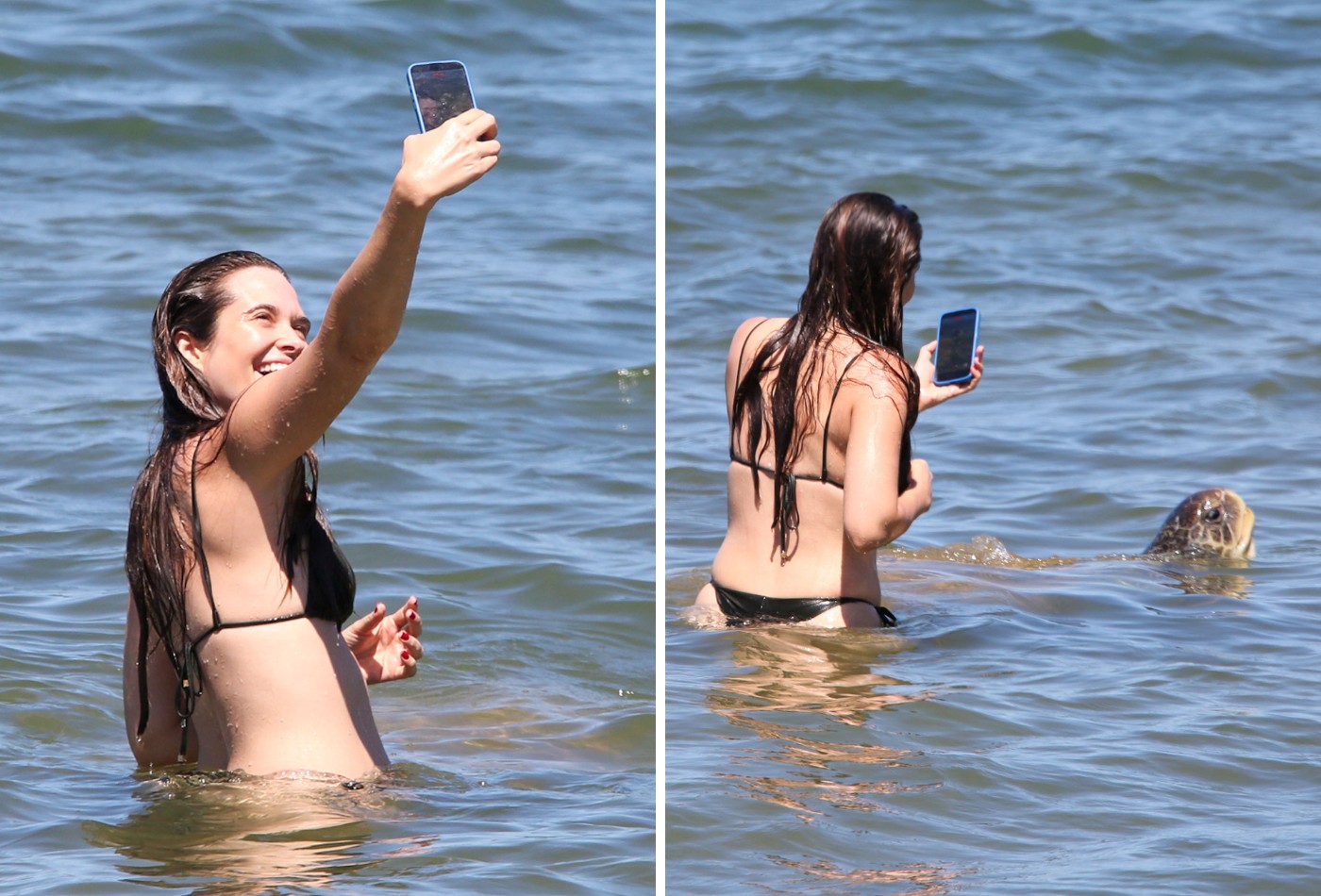 Juliana Paiva tira selfie com tartaruga gigante em praia da Bahia - QTU Questões do Universo