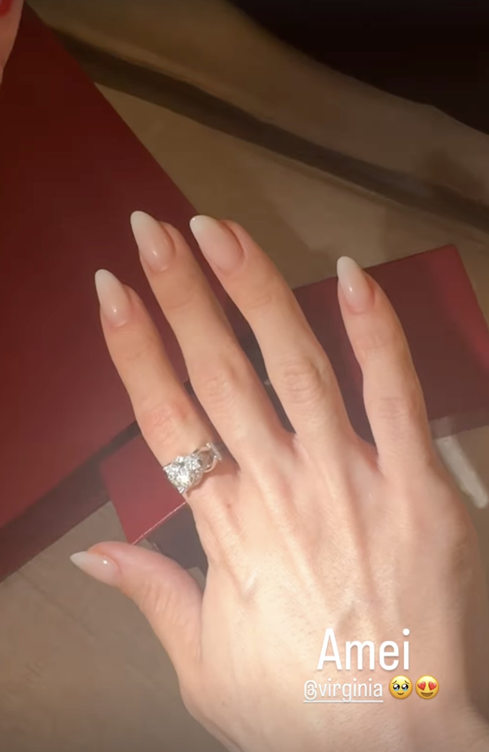 Samara Pink ganha 'mimo' caríssimo da sócia, Virginia Fonseca — Foto: Reprodução/Instagram