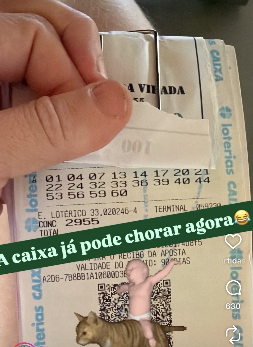 Paulinha Leite mostra aposta da Mega Sena da Virada — Foto: Reprodução Instagram