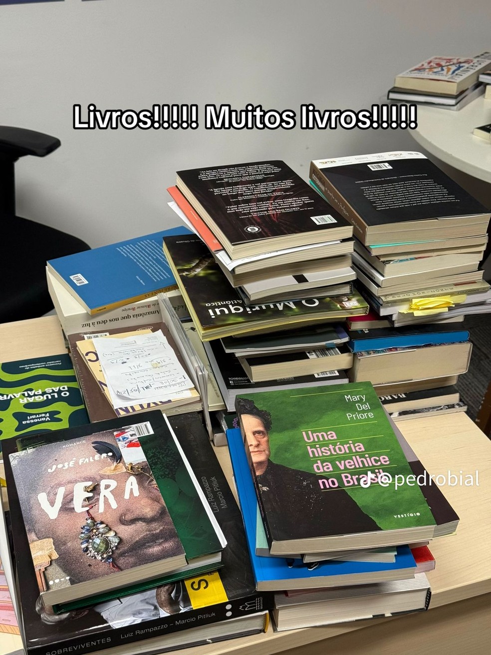 Pedro Bial compartilha itens em sua casa — Foto: Reprodução/Tiktok