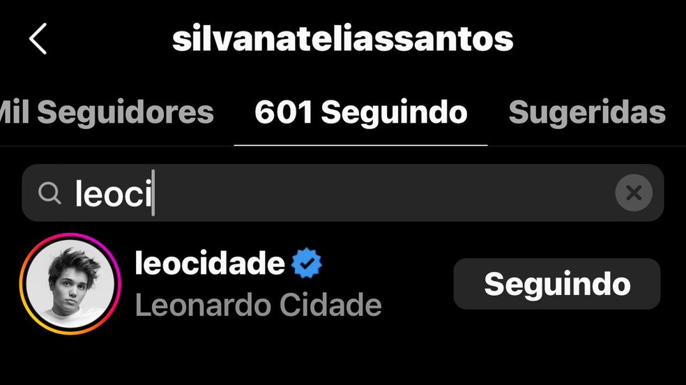 Silvana Santos, mãe de Larissa Manoela, ainda segue o ex da atriz, Leo, no Instagram — Foto: Reprodução/Instagram