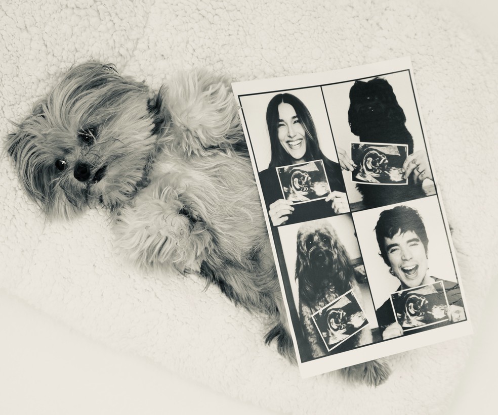 Xuxa comemora gravidez de Sasha — Foto: Reprodução/Instagram