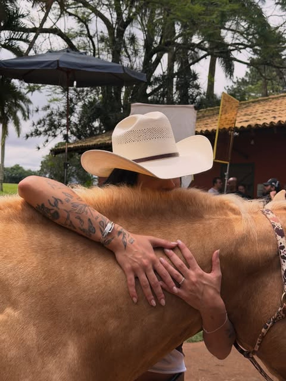 Ana Castela se derrete por cavalo do rancho da família em Londrina — Foto: Reprodução/Instagram