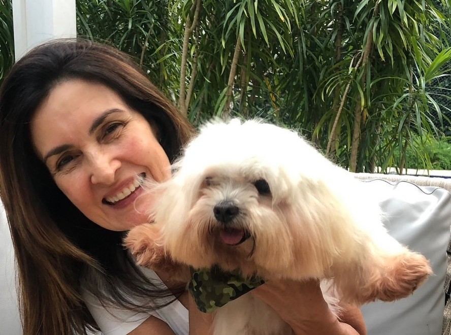 Fátima Bernardes lamenta morte de cão da família