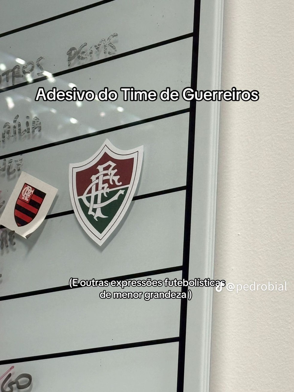 Pedro Bial compartilha itens em sua casa — Foto: Reprodução/Tiktok