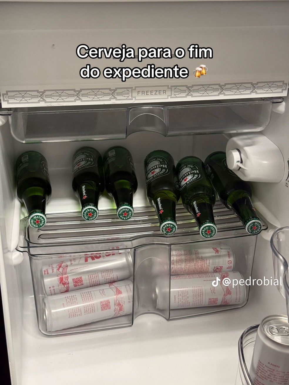 Pedro Bial mostra itens em sua casa — Foto: Reprodução/Tiktok