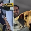 Cãozinho que abraçou jornalista Paulo Mathias é adotado pelo repórter
