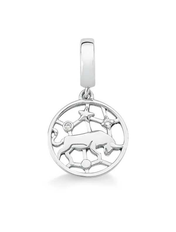 Charm Touro Cravejado