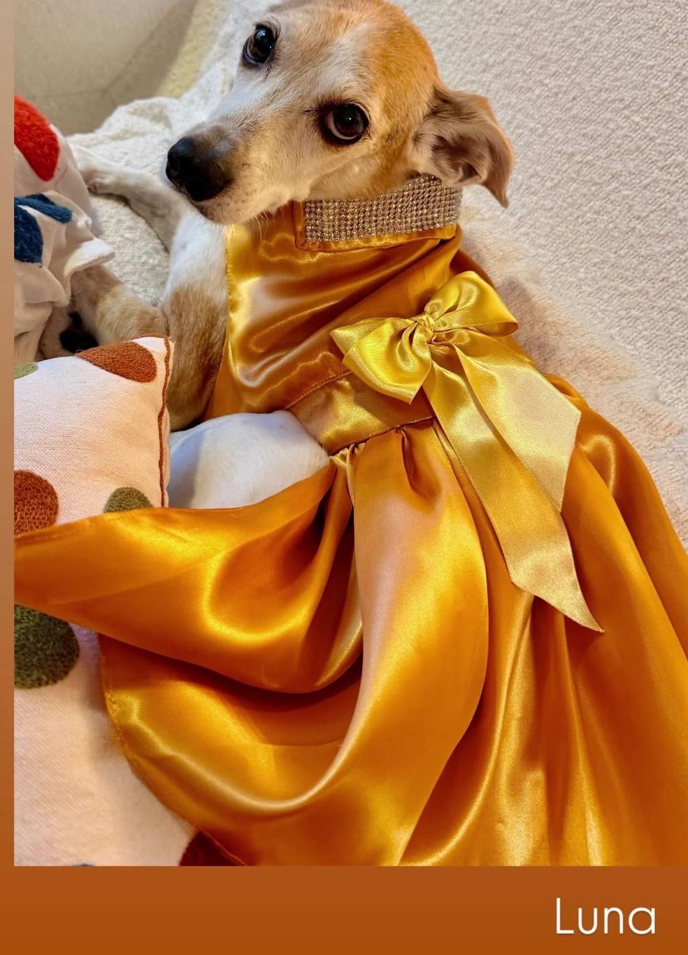 Casamento de Tarcísio Filho e Mocita Fagundes — Foto: reprodução/Instagram