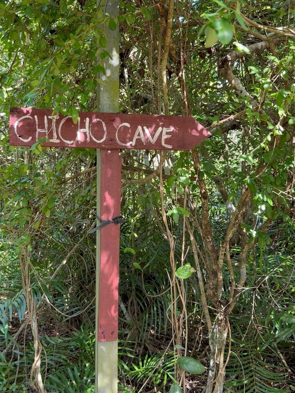 Aline Campos fez trilha para conhecer caverna na República Dominicana — Foto: Reprodução/Instagram