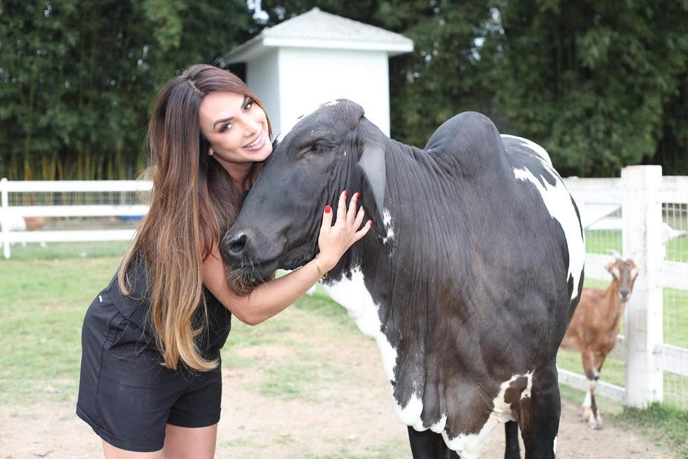 Nicole Bahls e a vaca 'Anitta' — Foto: Reprodução/Instagram
