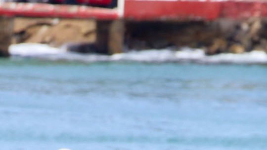 De biquíni, Andrea Beltrão exibe tatuagem nas costas em dia de praia De biquíni, Andrea Beltrão exibe tatuagem nas costas em dia de praia