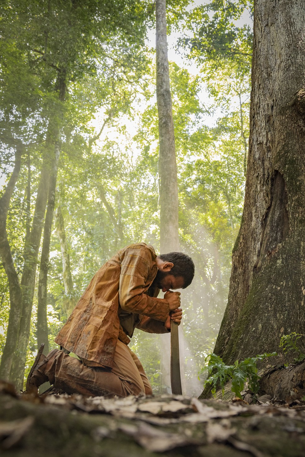 José Inocêncio (Humberto Carrão) plants the machete at the feet of the jequitibá-king and takes his oath — Photo: Fábio Rocha/TV Globo