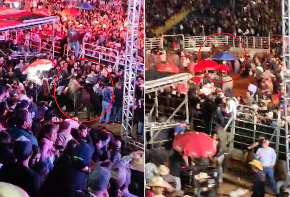 Touro invade arena de rodeio antes de show de Ana Castela — Foto: Reprodução YouTube